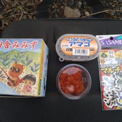 アマゴの味が忘れられず